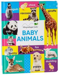 Cover image for Baby Animals (Large Padded Board Book & Downloadable App!)