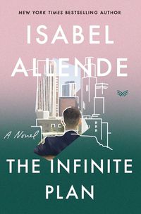 Cover image for The Infinite Plan: A Novel