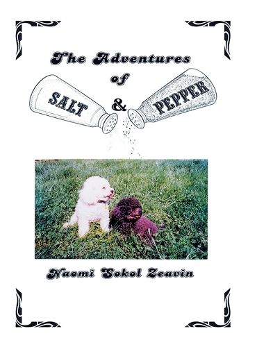 Cover image for The Adventures of Salt & Pepper