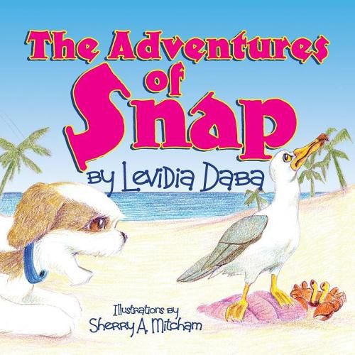 Cover image for The Adventures of Snap