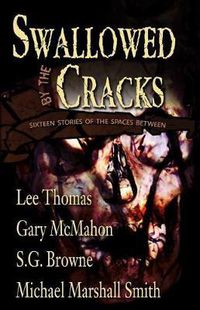 Cover image for Swallowed By The Cracks