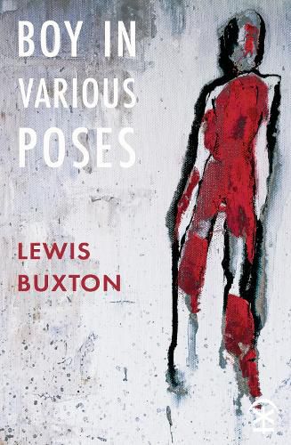 Cover image for Boy in Various Poses