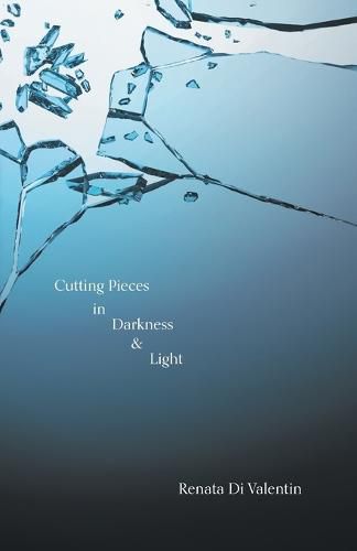 Cover image for Cutting Pieces in Darkness & Light