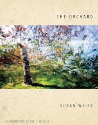 Cover image for The Orchard