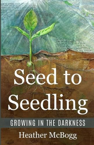 Cover image for Seed to Seedling, Growing in the Darkness