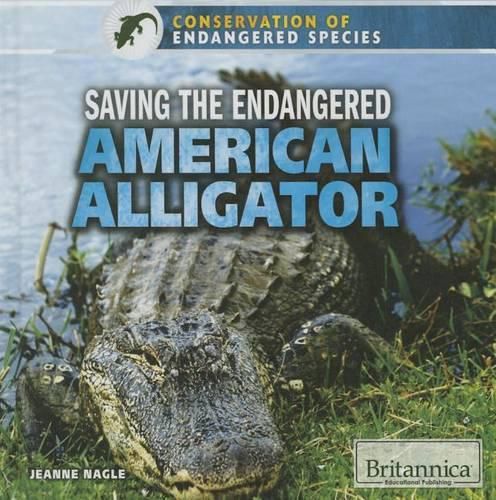 Cover image for Saving the Endangered American Alligator