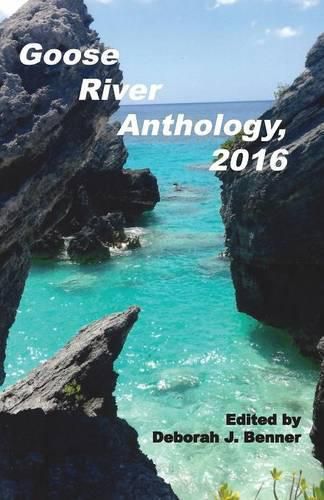 Cover image for Goose River Anthology, 2016