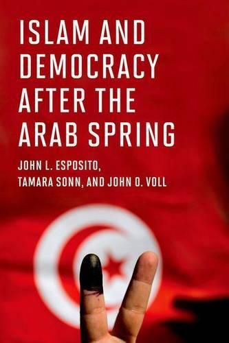 Cover image for Islam and Democracy after the Arab Spring