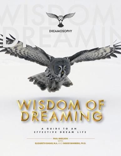 Cover image for Wisdom of Dreaming: A Guide to an Effective Dream Life