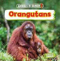 Cover image for Orangutans