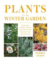 Cover image for Plants for the Winter Garden