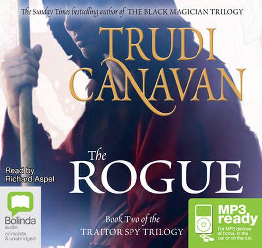 Cover image for The Rogue