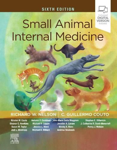 Cover image for Small Animal Internal Medicine