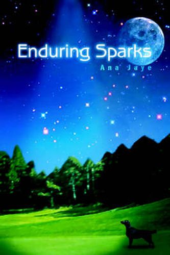 Cover image for Enduring Sparks