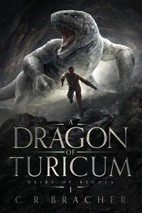 Cover image for A Dragon of Turicum