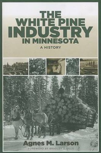 White Pine Industry in Minnesota: A History