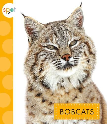 Cover image for Bobcats