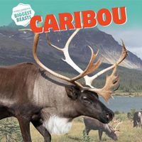 Cover image for Caribou