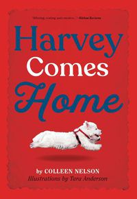 Cover image for Harvey Comes Home