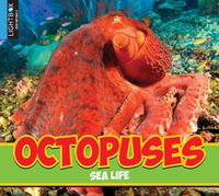 Cover image for Octopuses