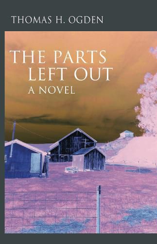 Cover image for The The Parts Left Out