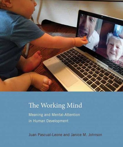 Cover image for The Working Mind: Meaning and Mental Attention in Human Development