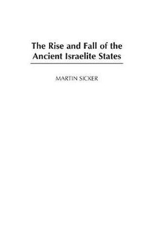 Cover image for The Rise and Fall of the Ancient Israelite States