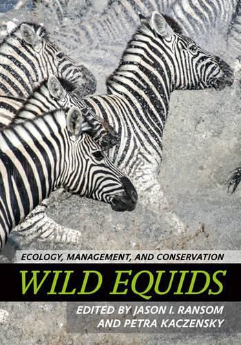 Cover image for Wild Equids: Ecology, Management, and Conservation