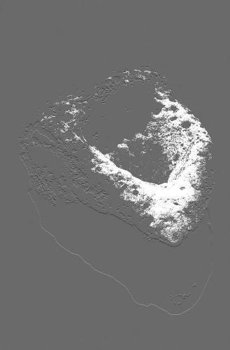 Cover image for The Years Now