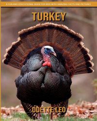 Cover image for Turkey