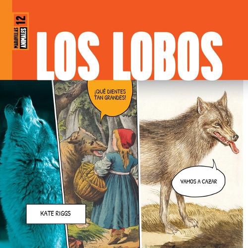 Cover image for Los Lobos