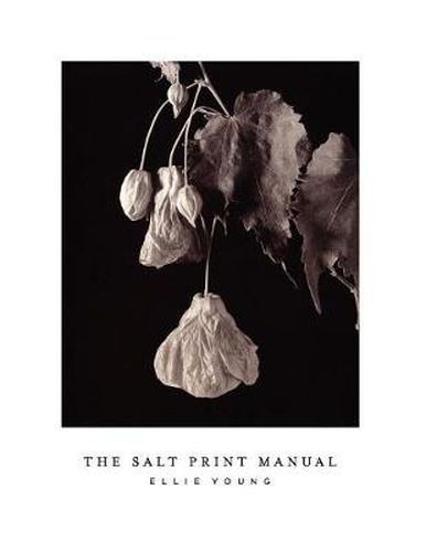 Cover image for The Salt Print Manual