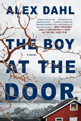 Cover image for The Boy at the Door
