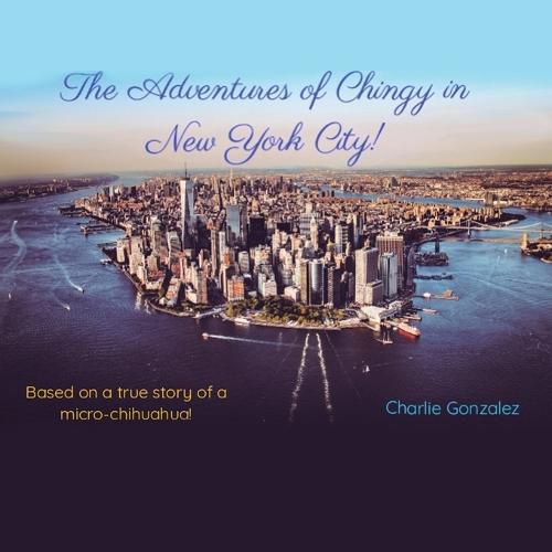 Cover image for The Adventures of Chingy in New York City!