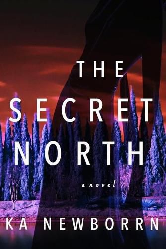 Cover image for The Secret North