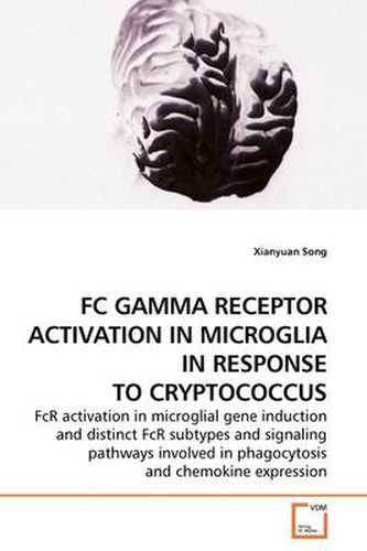 Cover image for FC Gamma Receptor Activation in Microglia in Response to Cryptococcus