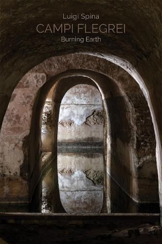 Cover image for Campi Flegrei. Burning Earth