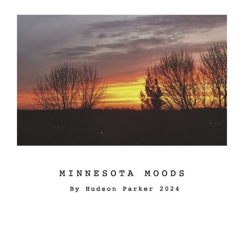 Minnesota Moods