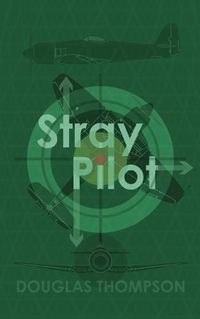 Cover image for Stray Pilot