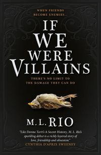 Cover image for If We Were Villains