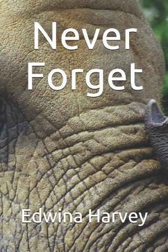 Cover image for Never Forget: a novelette