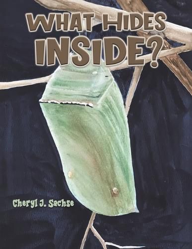 Cover image for What Hides Inside?