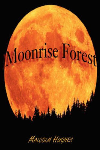 Cover image for Moonrise Forest