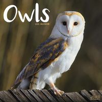 Cover image for Owls Calendar 2025 Square Birds Wall Calendar - 16 Month