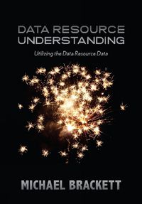 Cover image for Data Resource Understanding: Utilizing the Data Resource Data