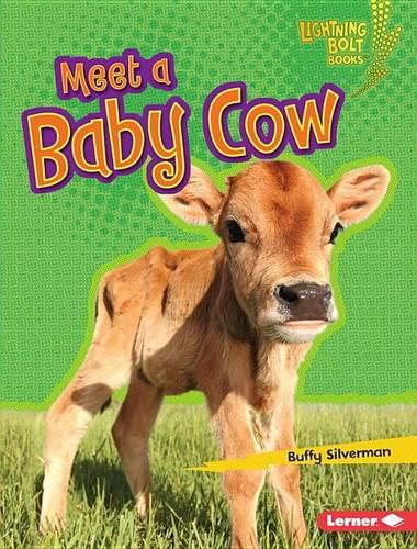 Cover image for Meet a Baby Cow