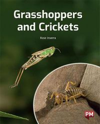 Cover image for Grasshoppers and Crickets