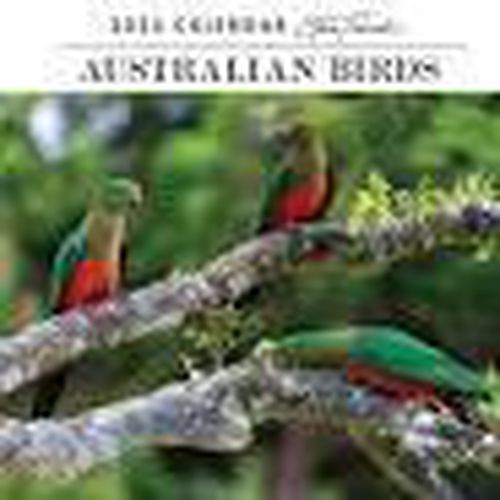 2025 Horizontal Calendar: Australian Birds - Steve Parish