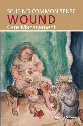 Cover image for Schein's Common Sense Wound Care Management