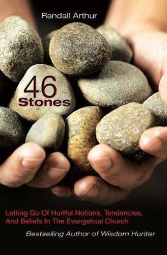Cover image for 46 Stones: Letting Go Of Hurtful Notions, Tendencies, And Beliefs In The Evangelical Church